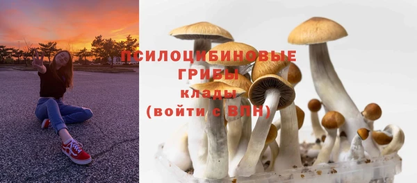мескалин Карпинск