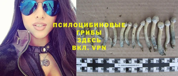 мескалин Карпинск