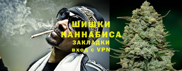 сатива Касимов