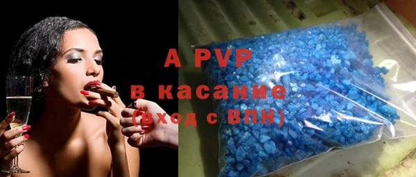 сатива Кинешма