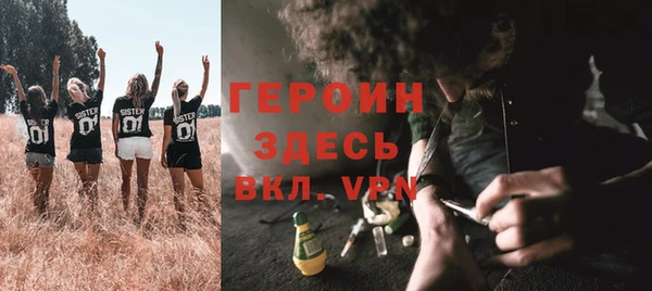 индика Каменка