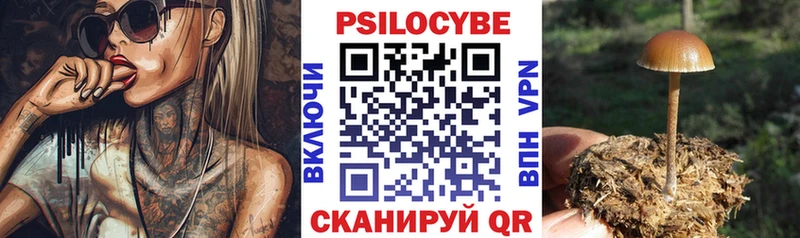 Галлюциногенные грибы Psilocybine cubensis  Красавино 